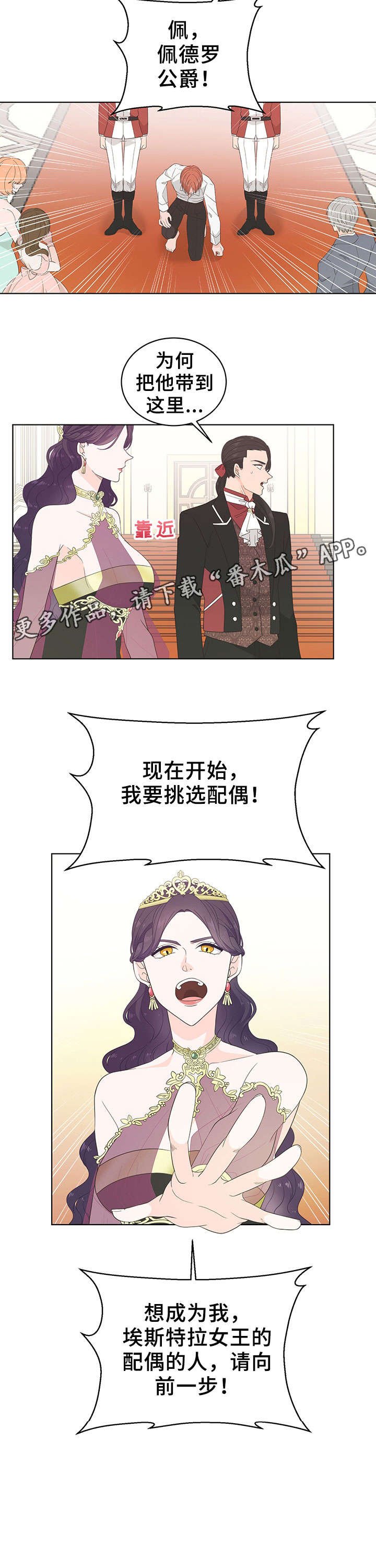 第23章：择偶