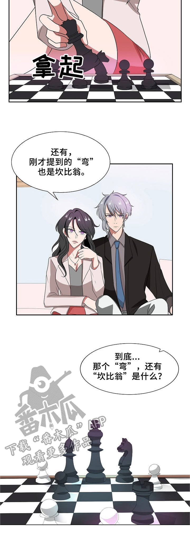 第23章：棋子