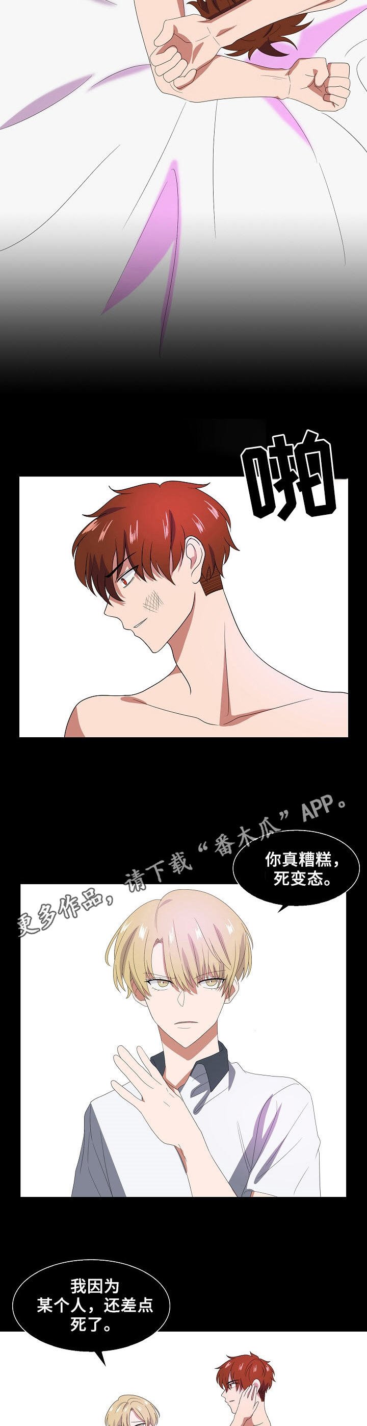 第35章：下一步