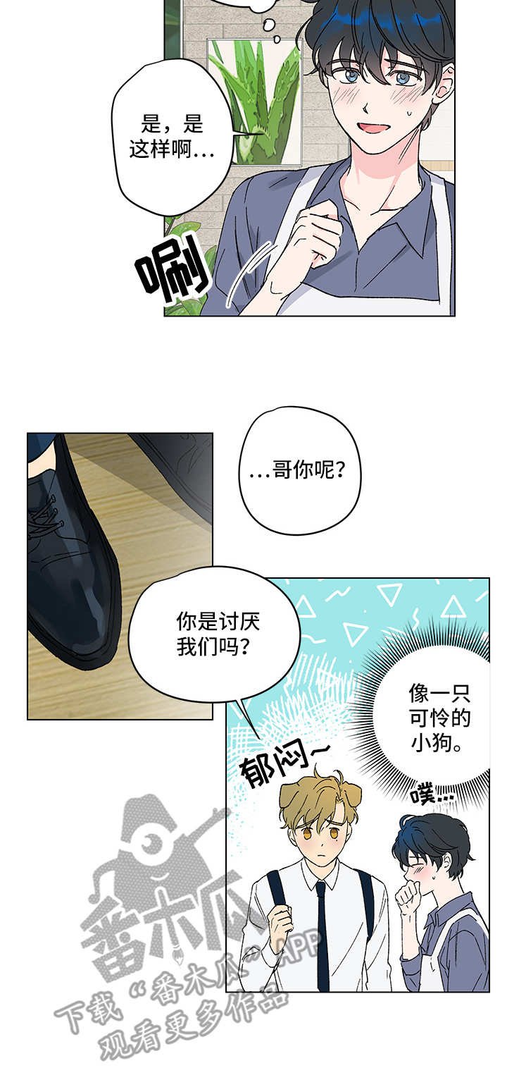 第4章：又来了