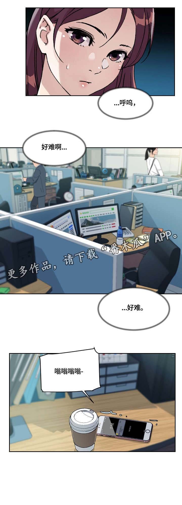第21章：报告