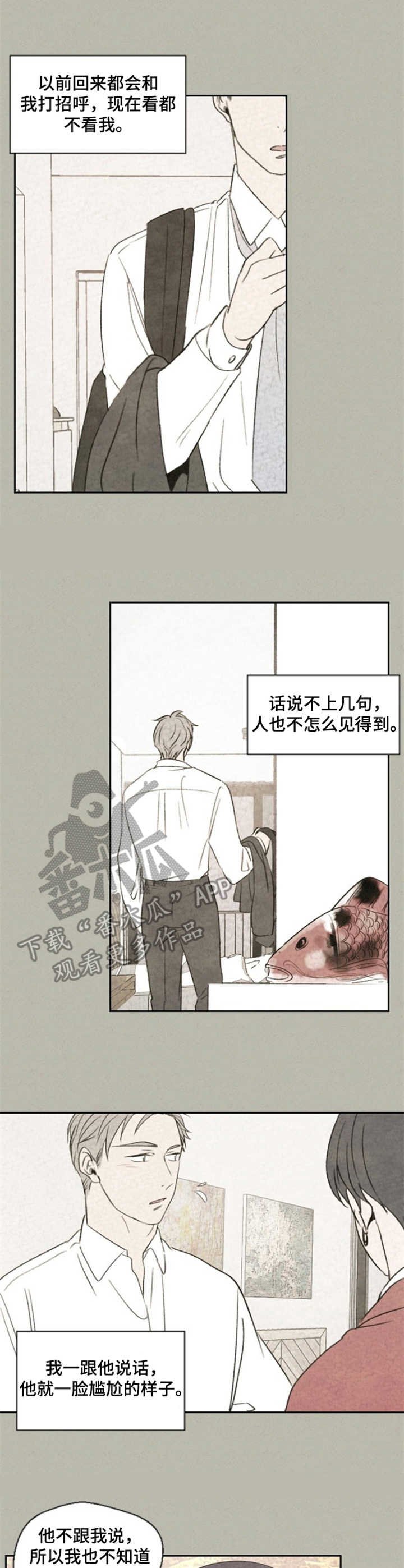 第17章：主意