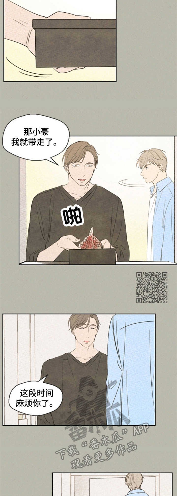 第20章：替换
