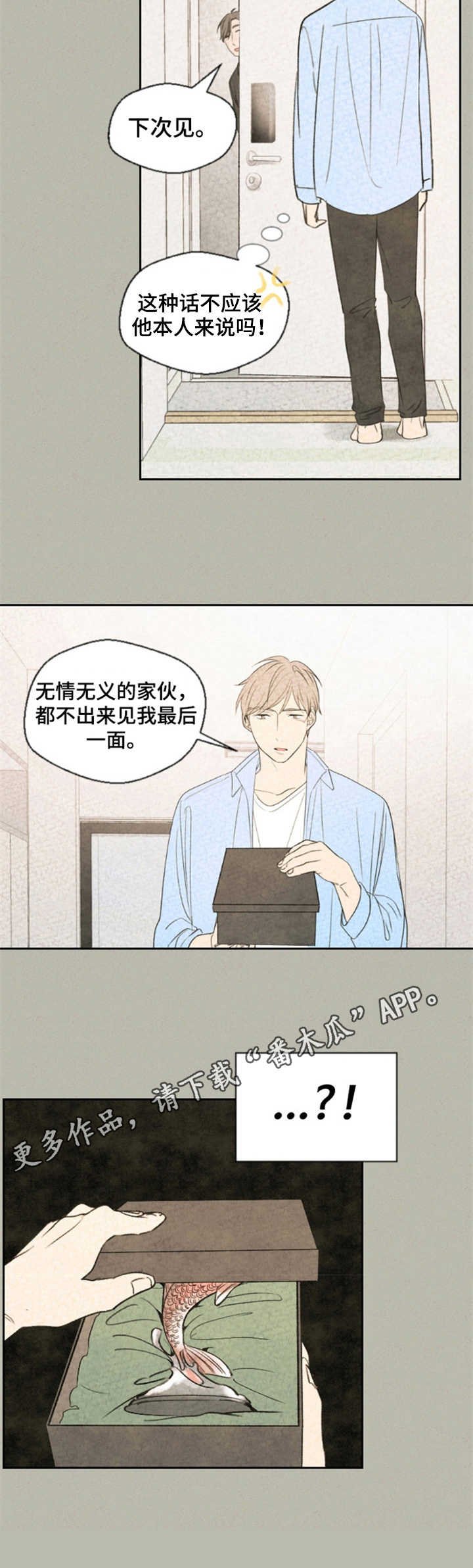 第20章：替换
