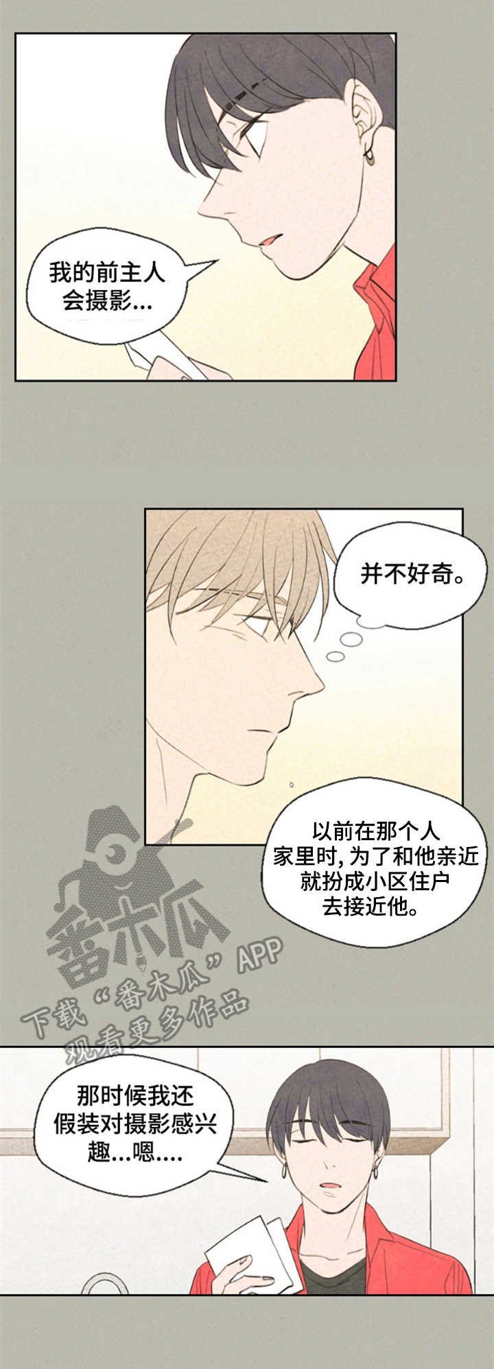 第28章：照片