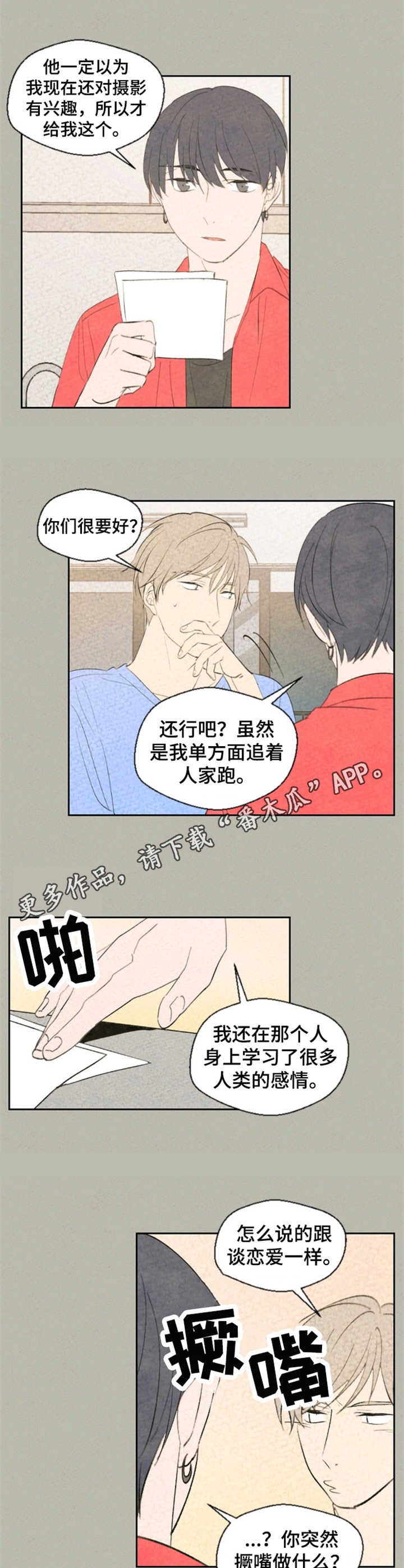 第28章：照片