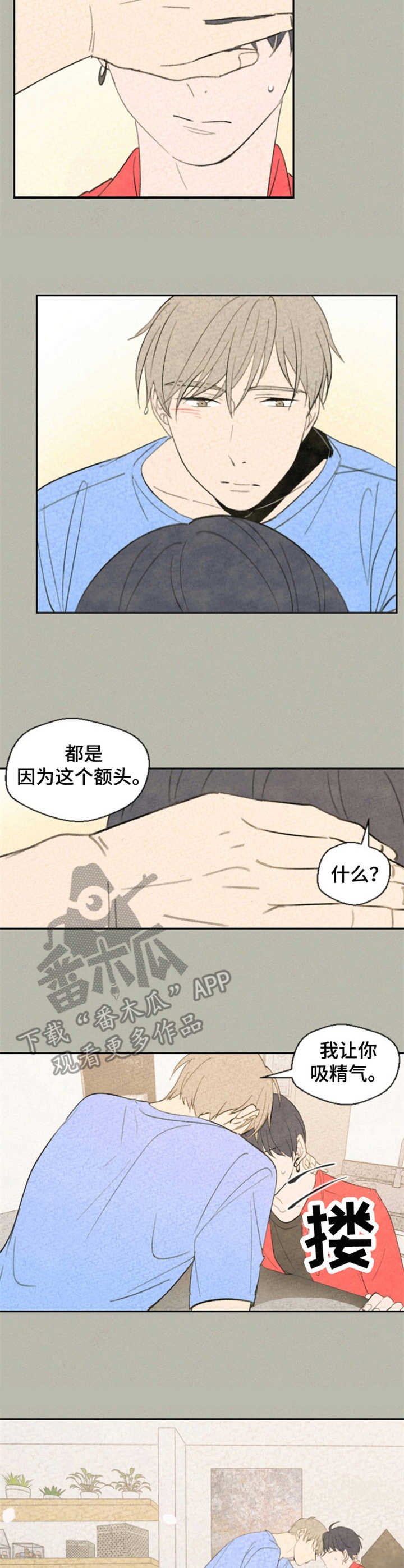 第28章：照片
