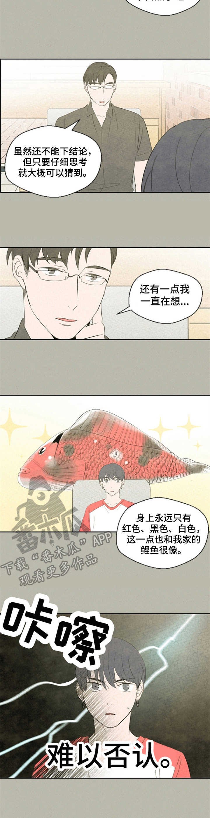 第37章：分析