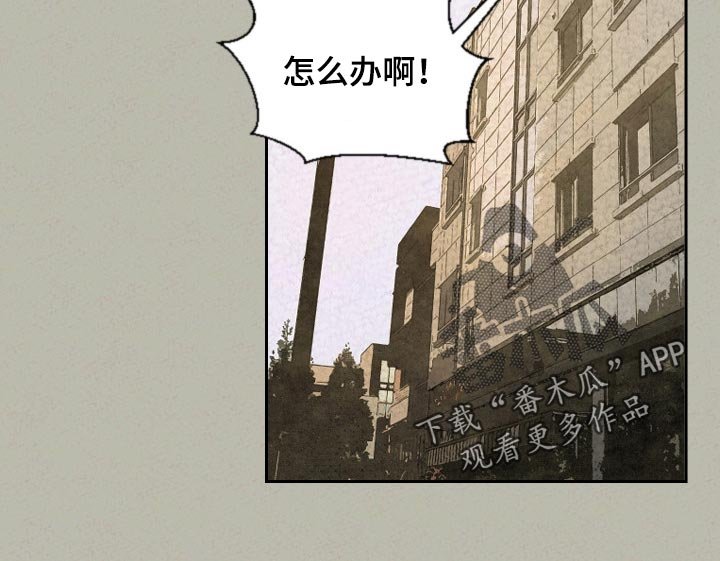 第41章：手链的事