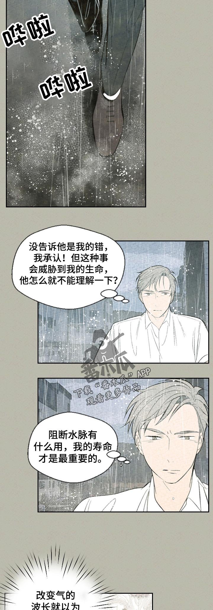 第54章：鱼还是猫