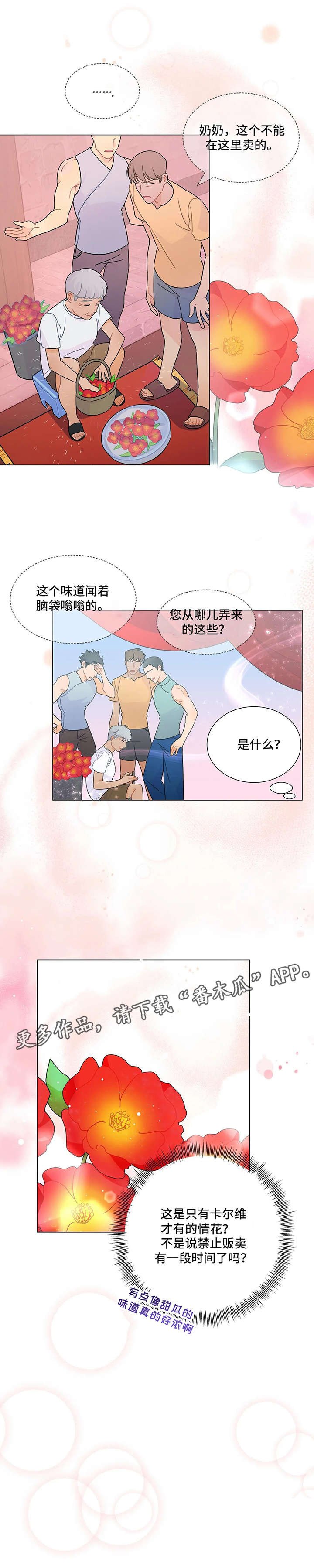 第5章：花