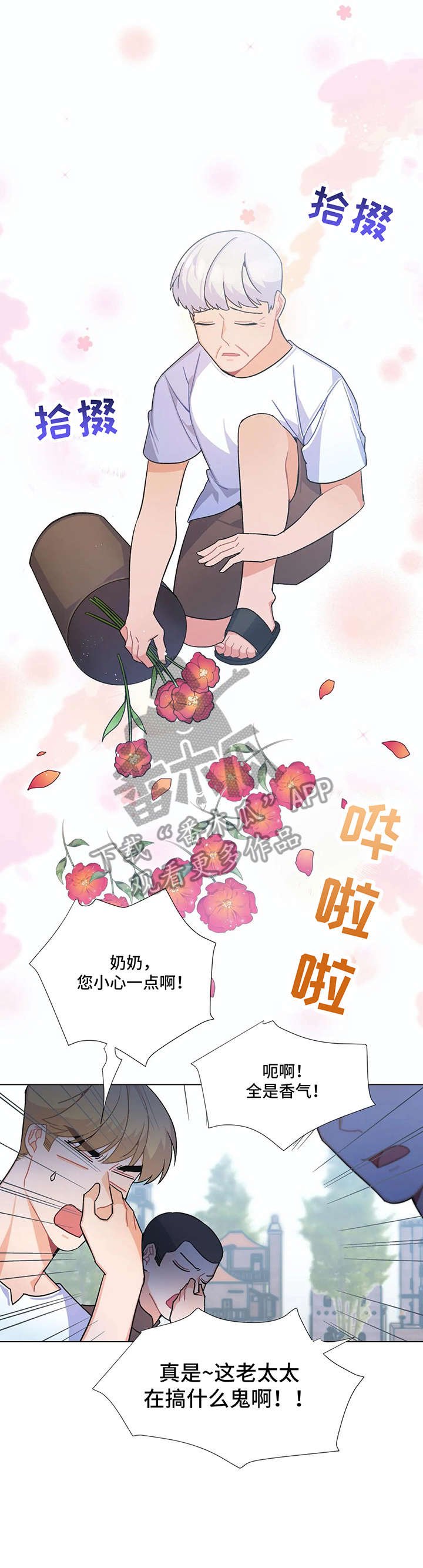 第5章：花