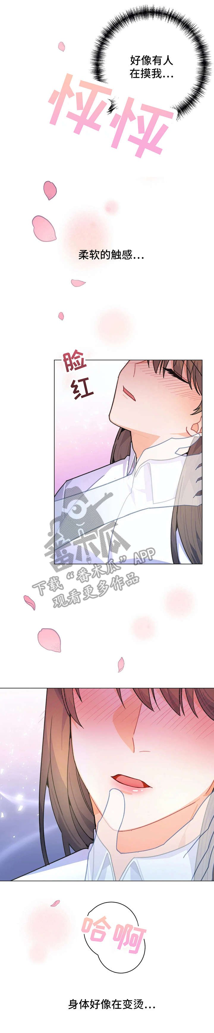 第5章：花