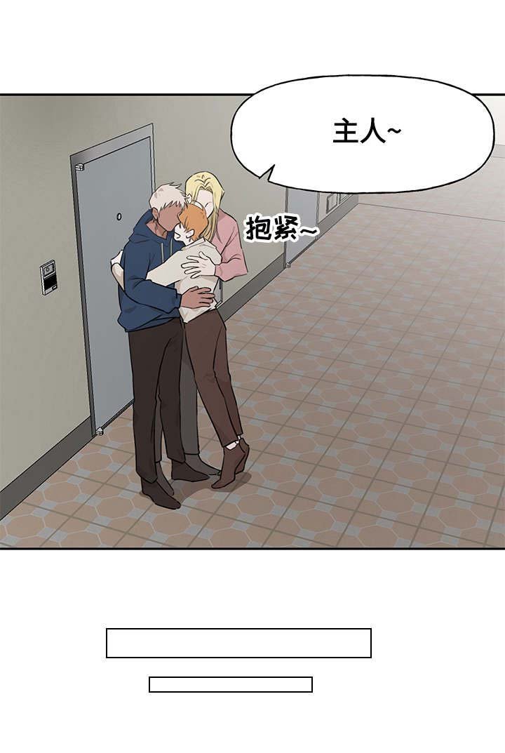 第13章：回家了