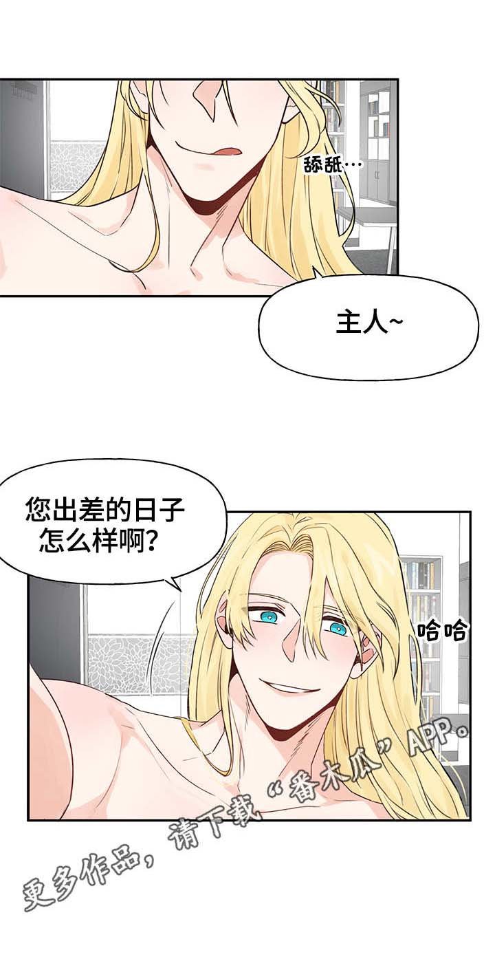 第13章：回家了