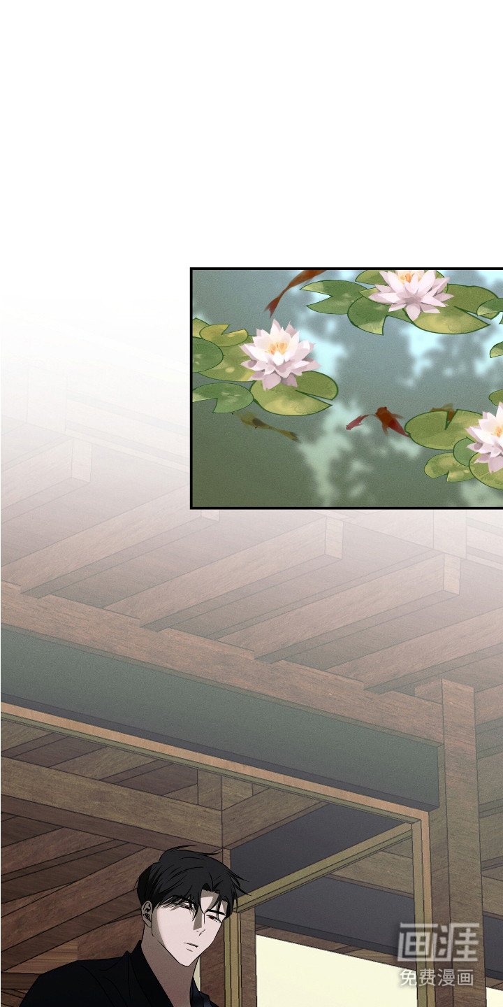 第11章：命运多舛
