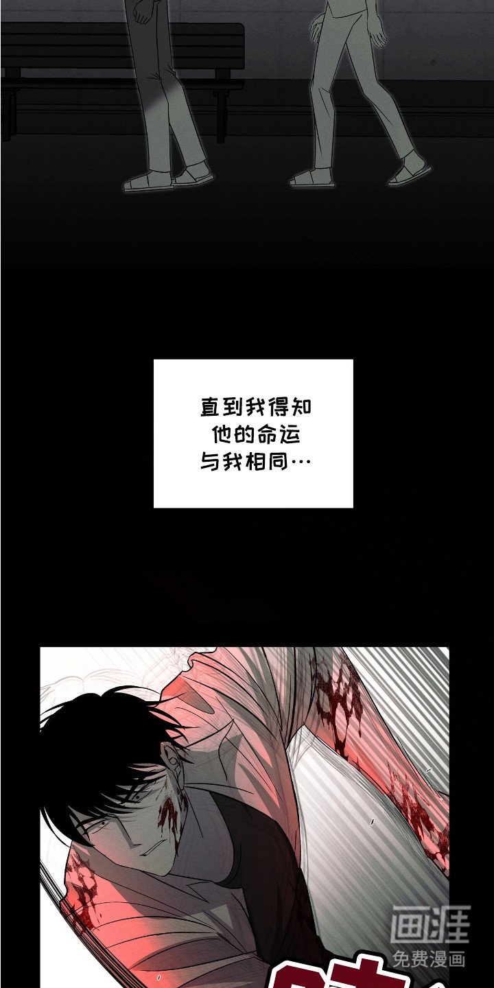 第11章：命运多舛