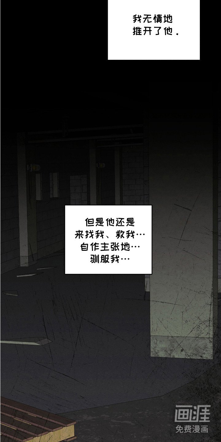 第11章：命运多舛