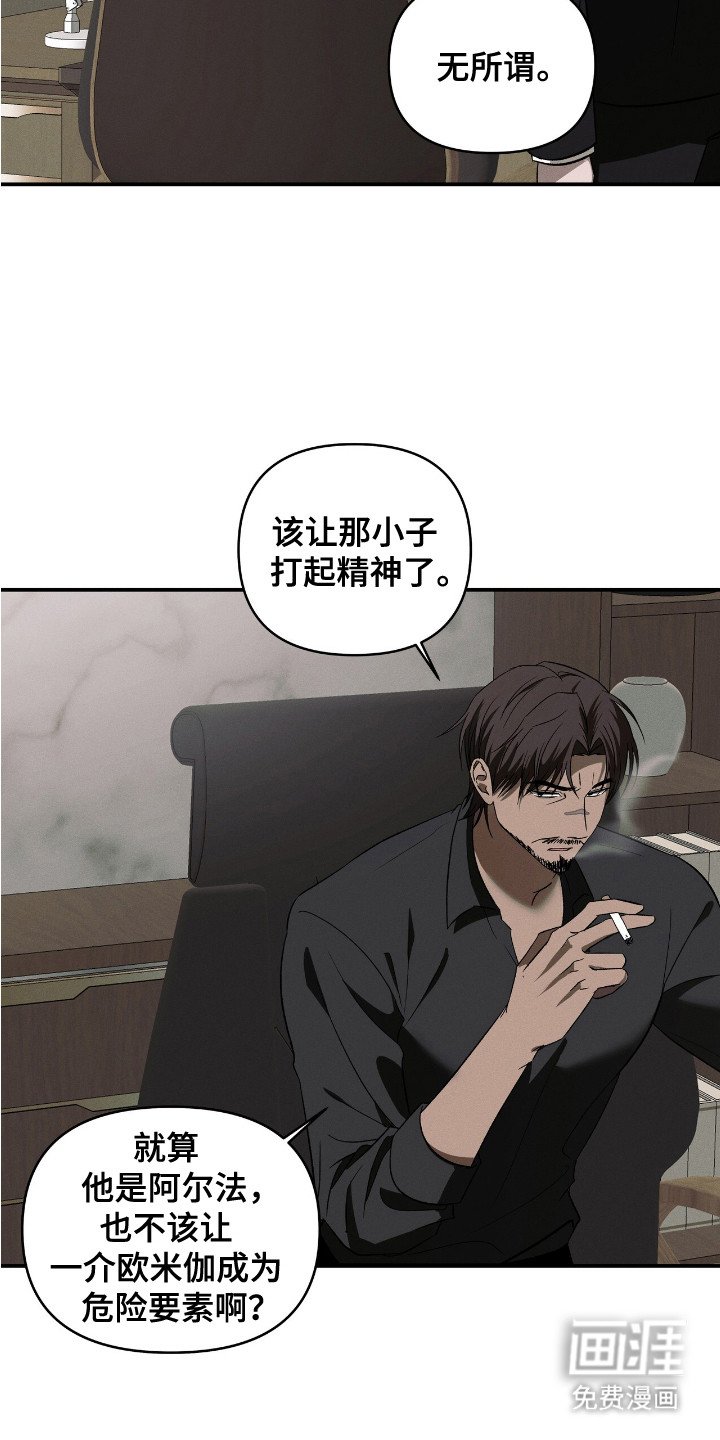 第12章：摊牌