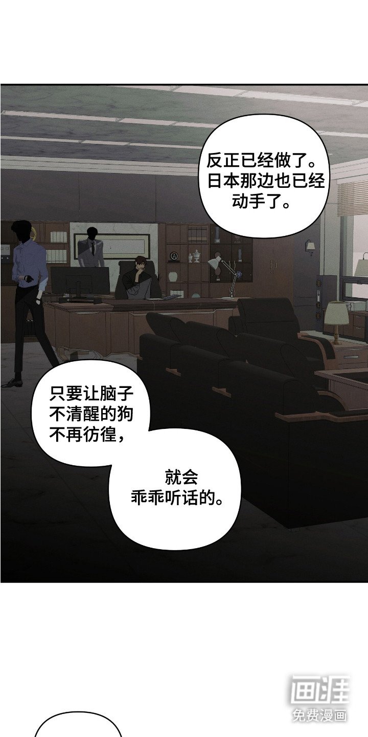 第12章：摊牌