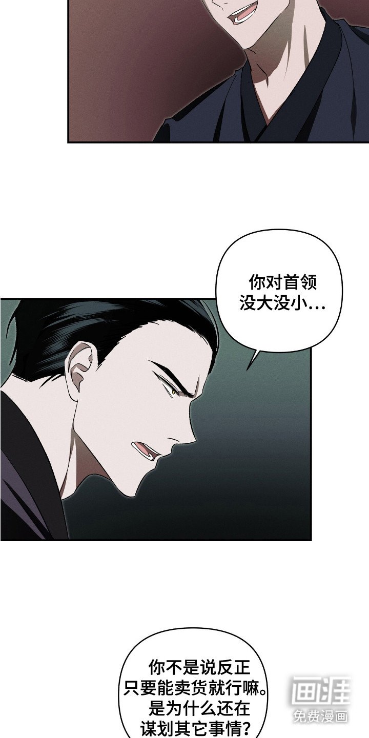 第12章：摊牌
