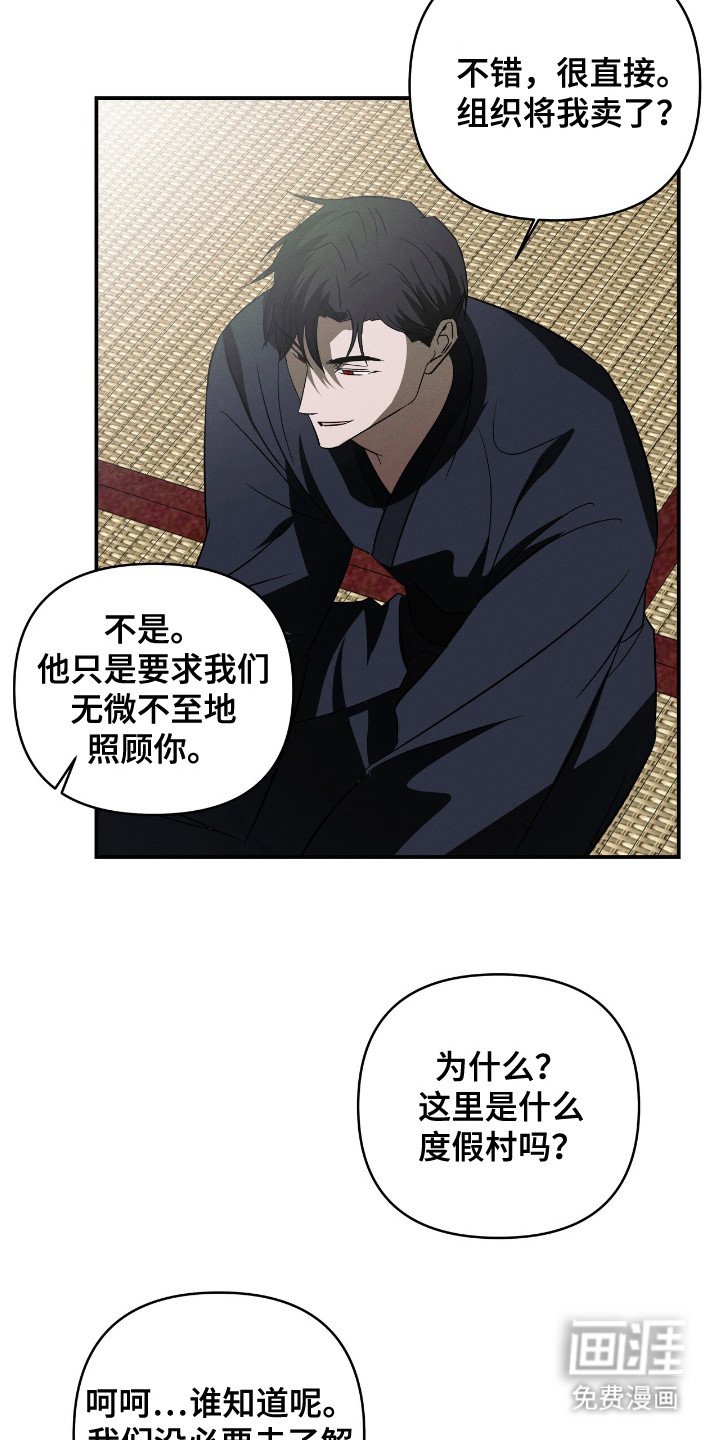 第12章：摊牌