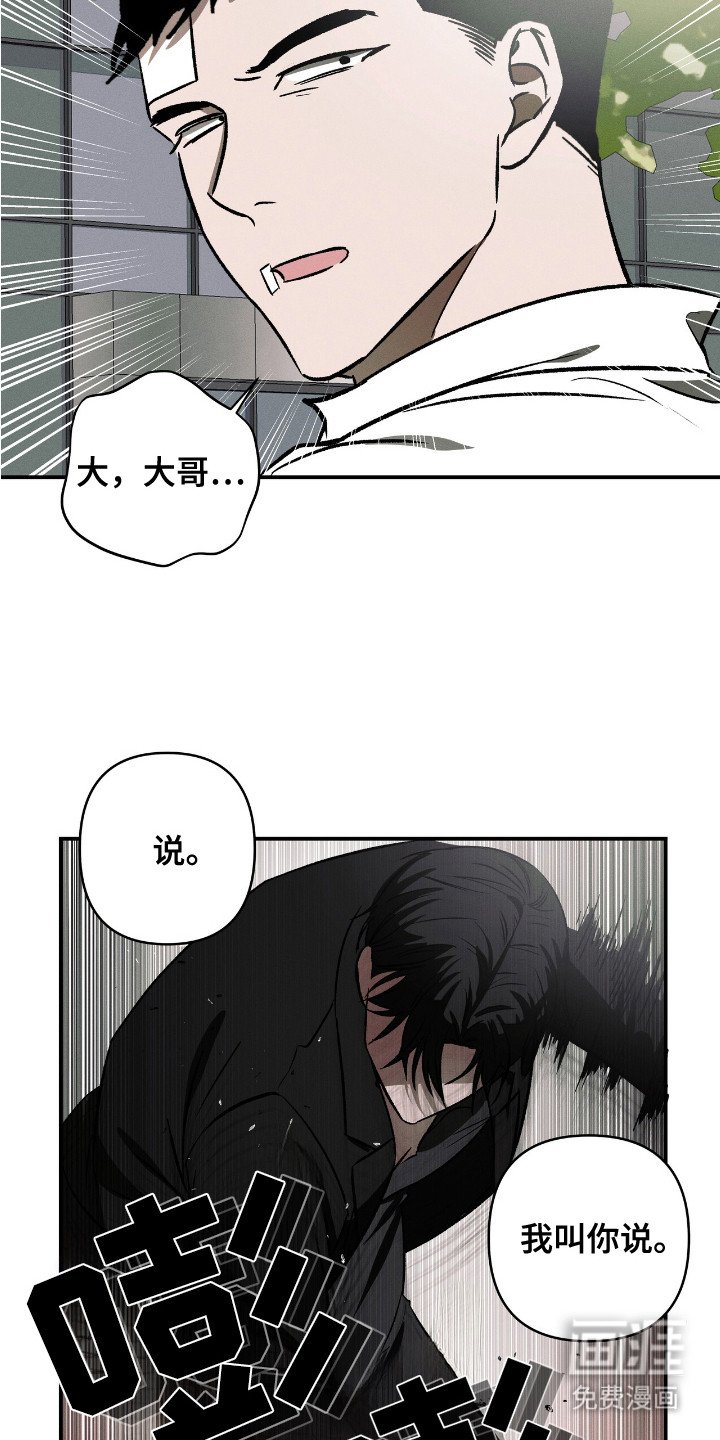 第16章：逆鳞
