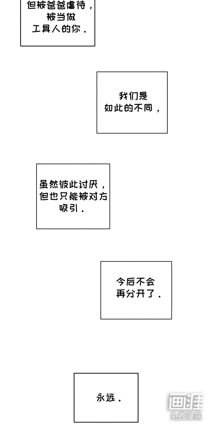 第19章：不再分开