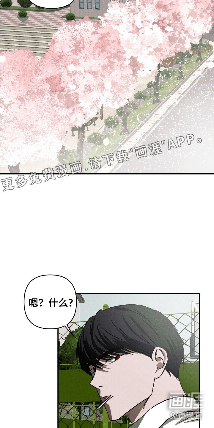 第20章：报答礼物