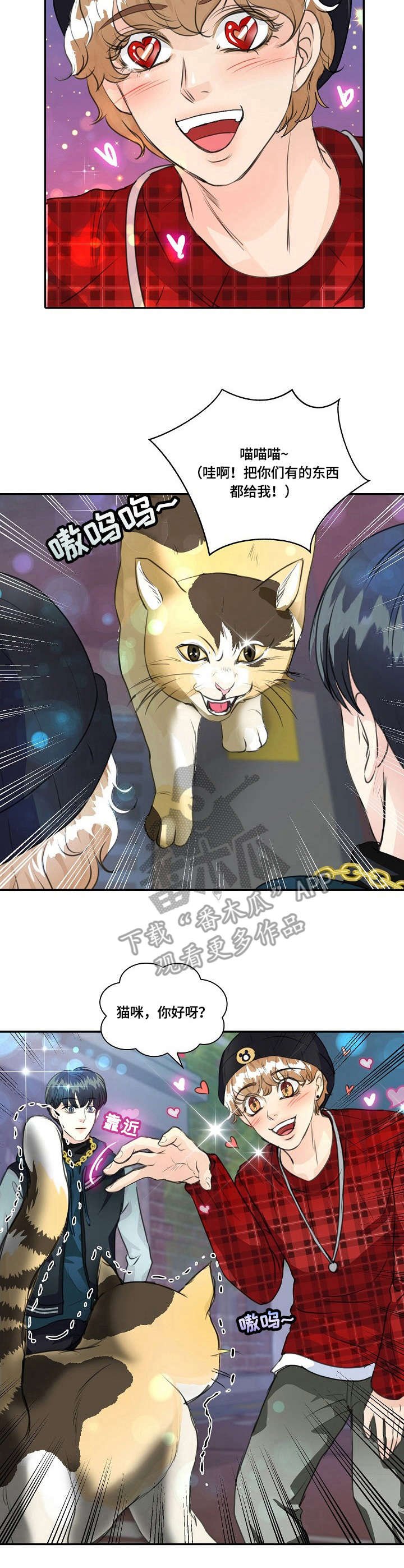 第25章：猫老大