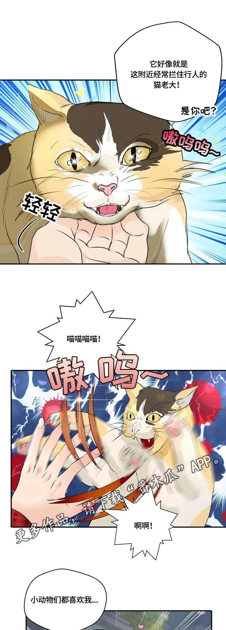 第25章：猫老大