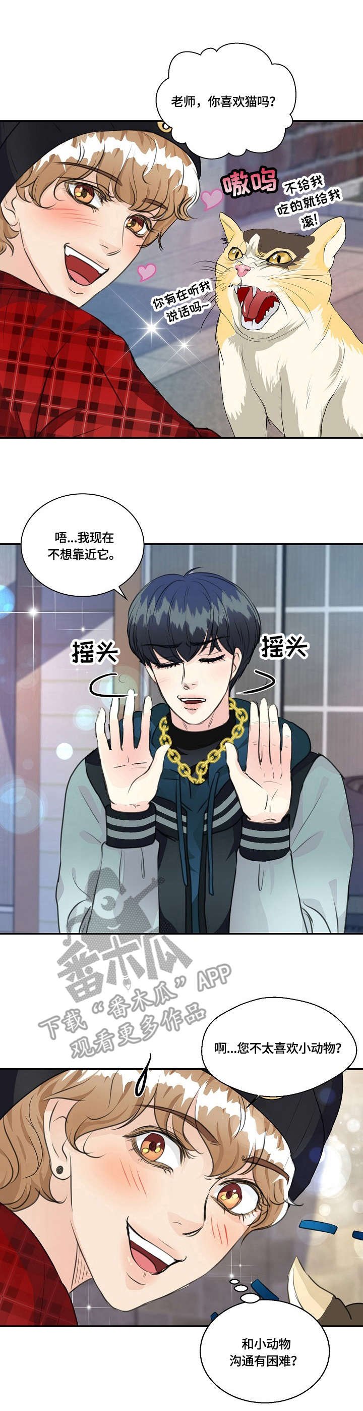 第25章：猫老大