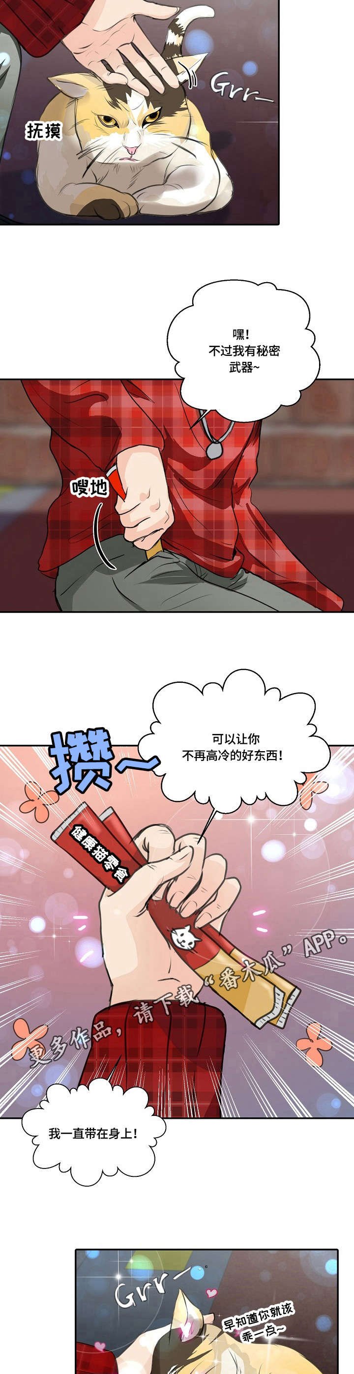 第25章：猫老大