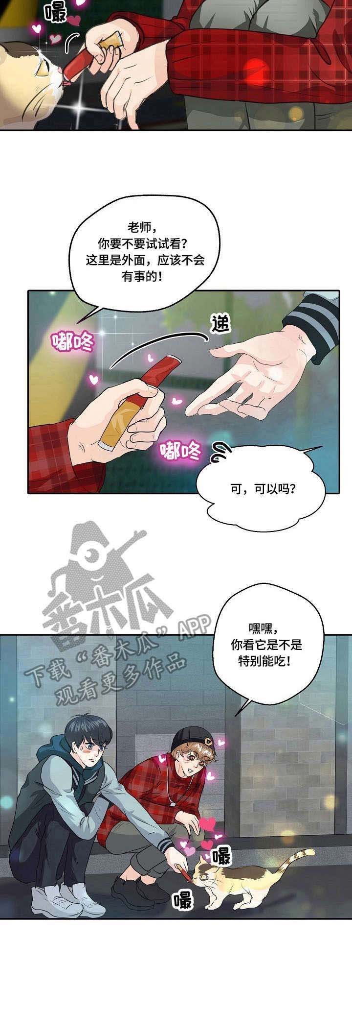 第25章：猫老大