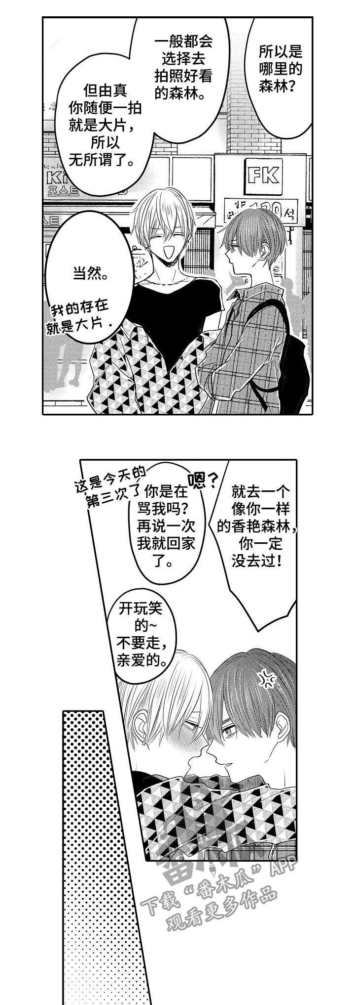 第33章：森林