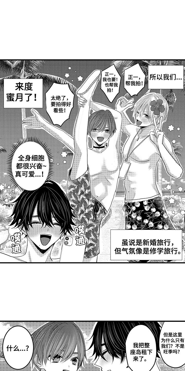 第82章：【第二季】蜜月度假