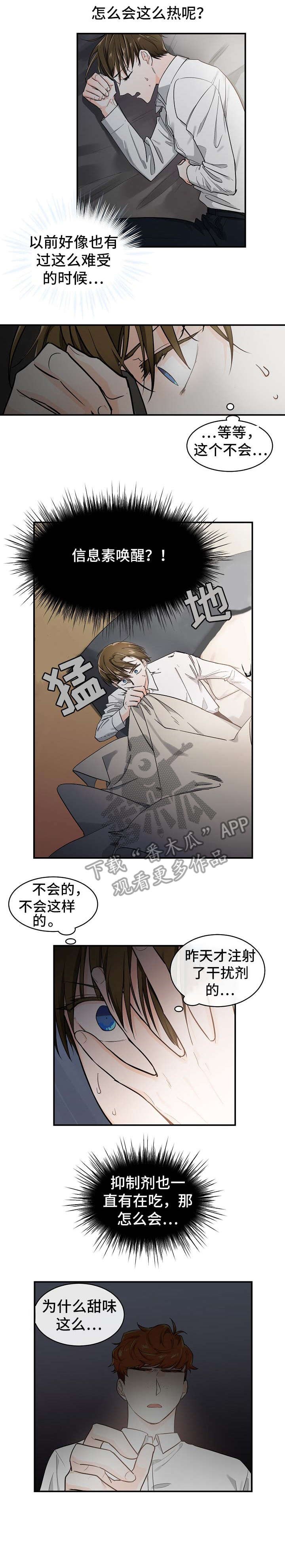 第24章：气味