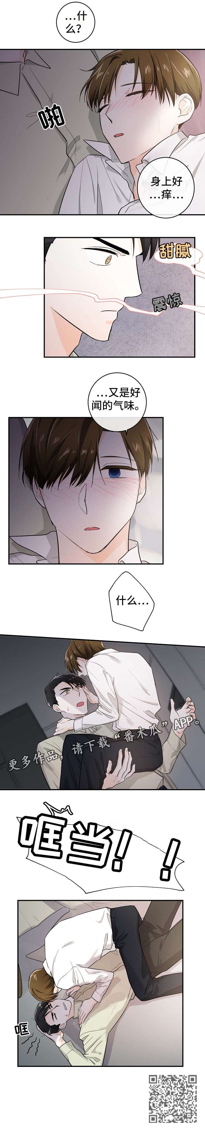 第24章：气味