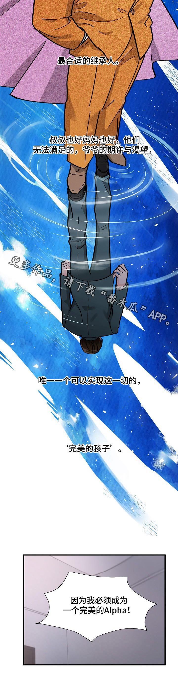 第85章：追求完美