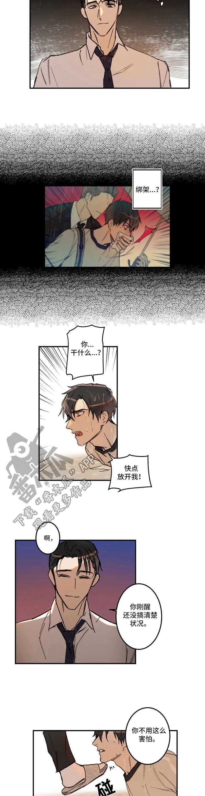 第20章：绑架