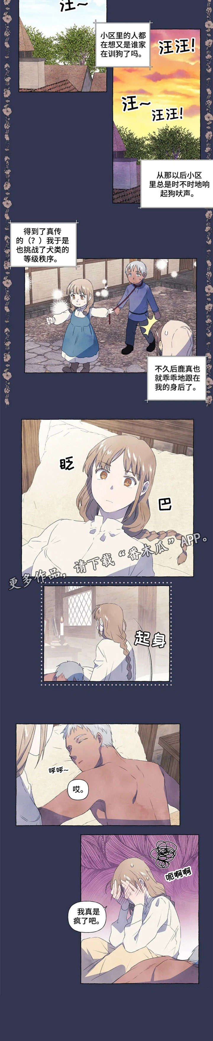 第4章：又咋了