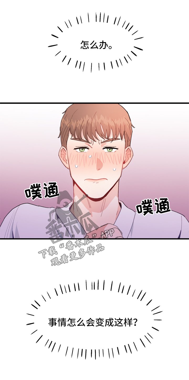 第12章：有猫腻