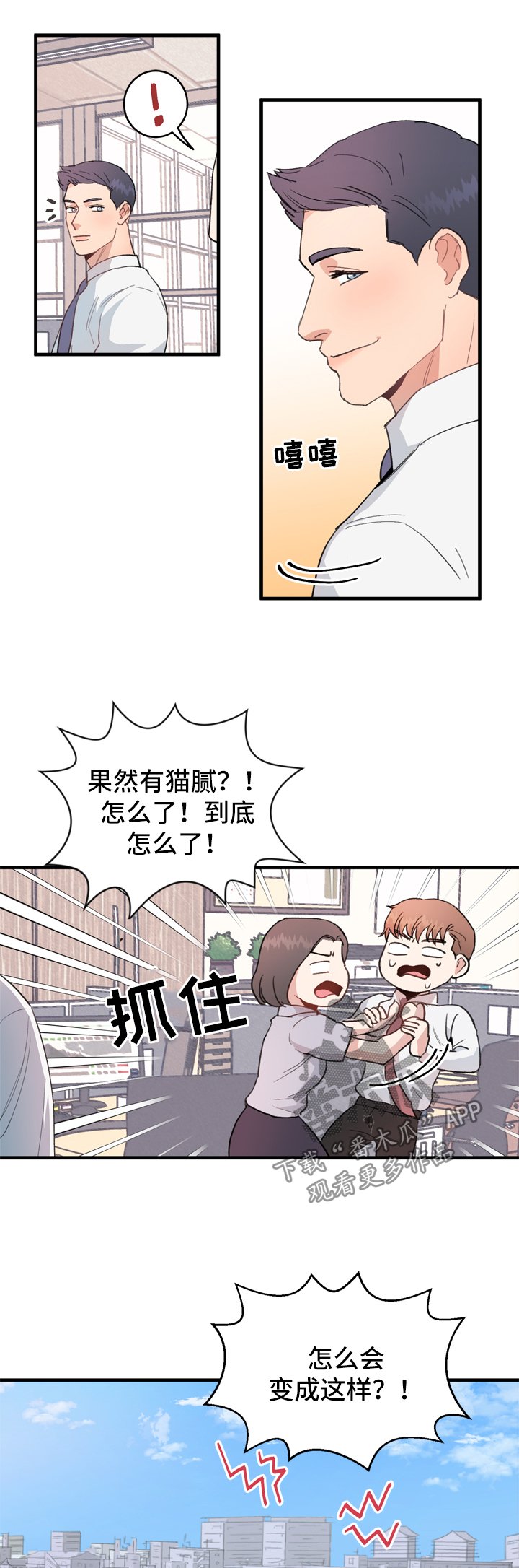 第12章：有猫腻