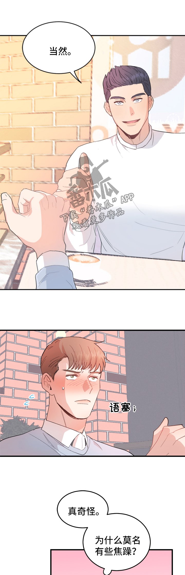 第12章：有猫腻