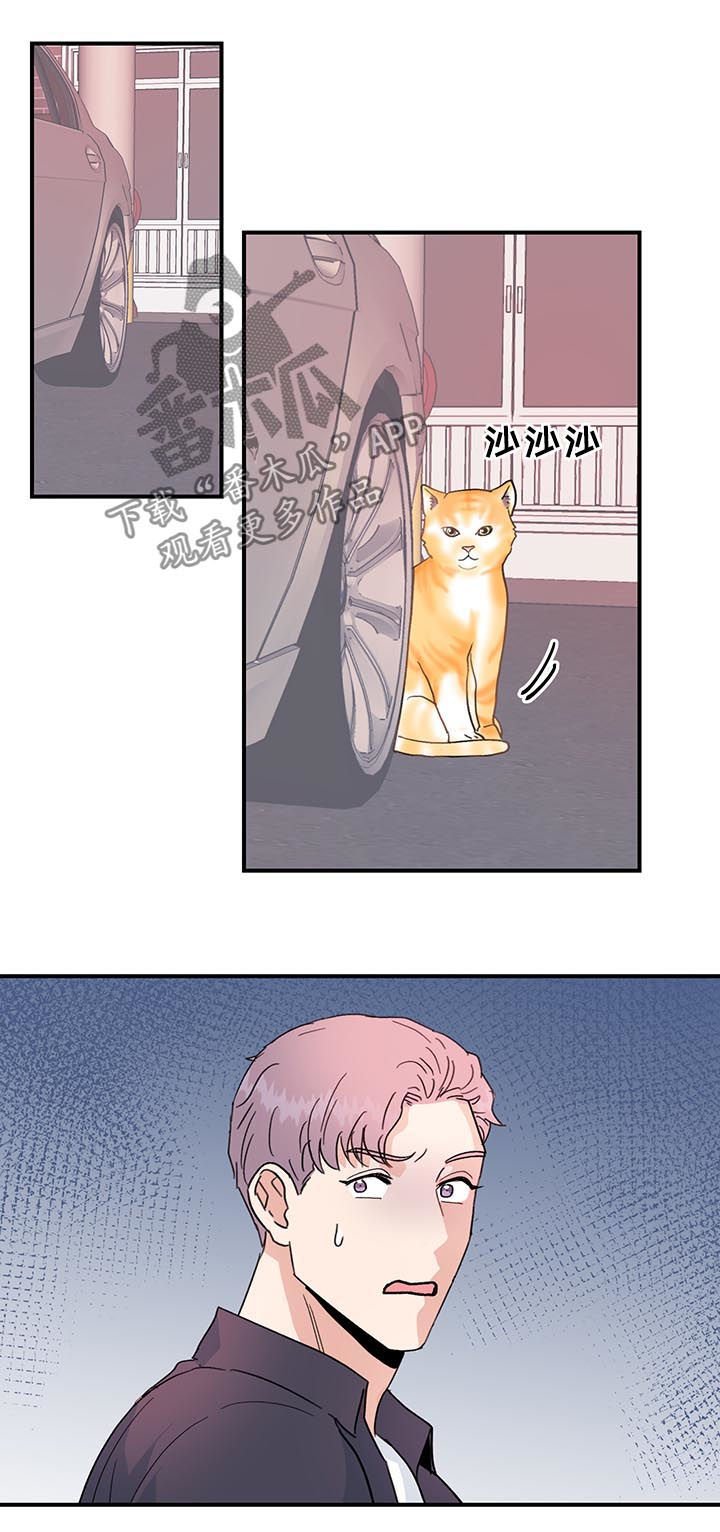 第32章：是错觉吗？