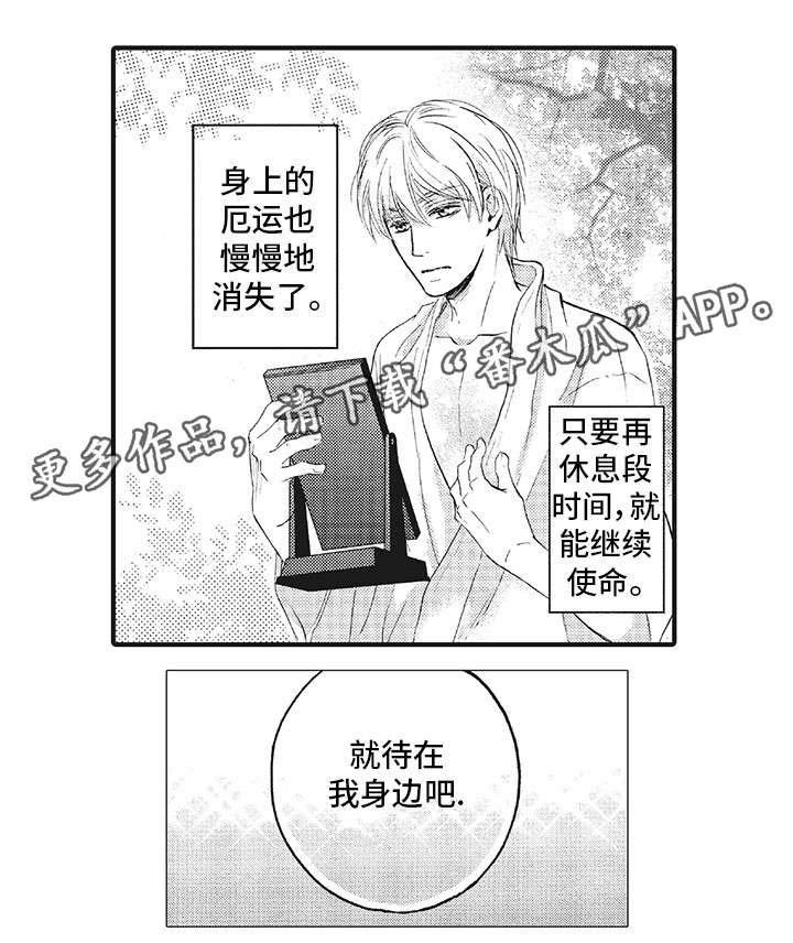 第11章：动摇