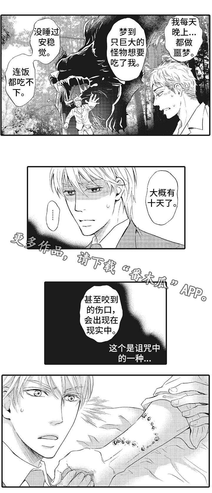 第8章：诅咒