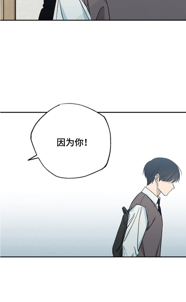 第11章：理由