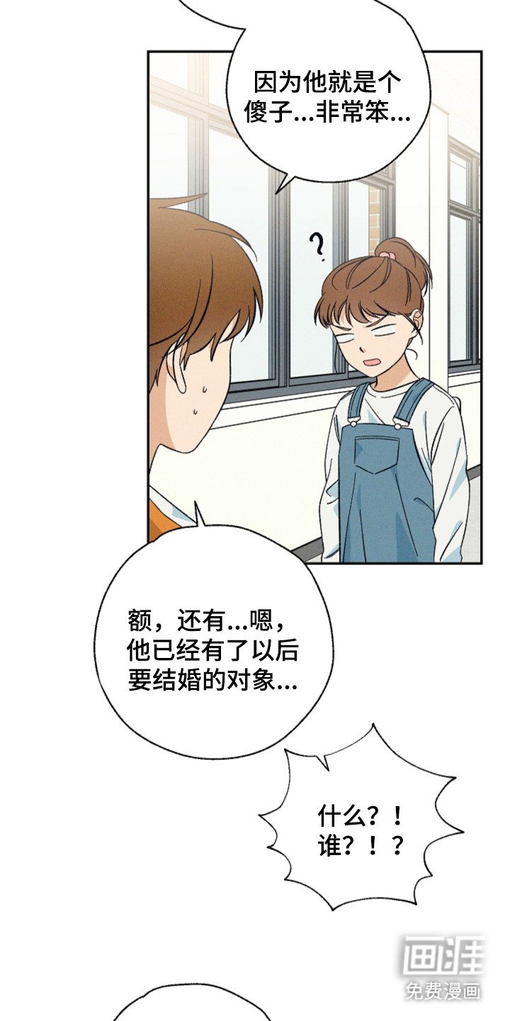 第13章：贪心