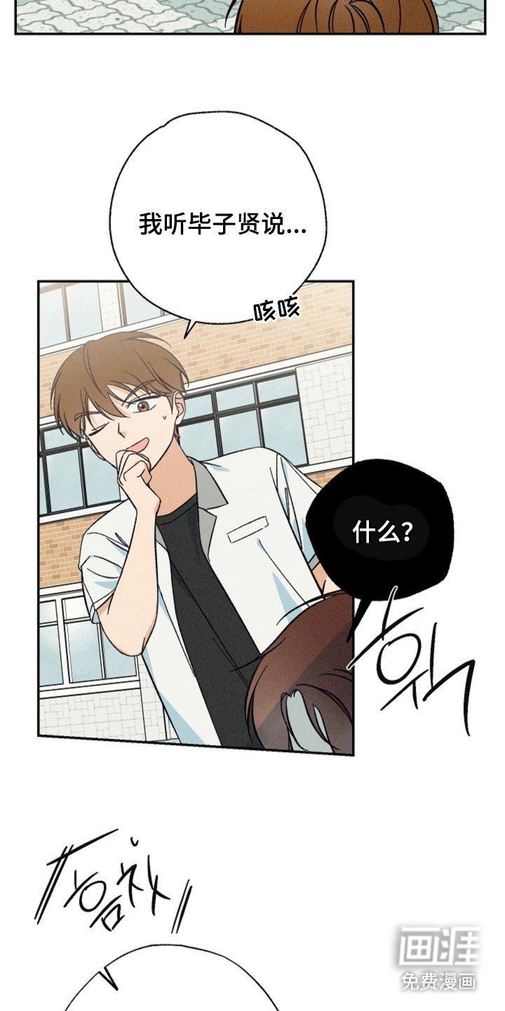 第13章：贪心